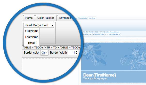Insert Merge Fields